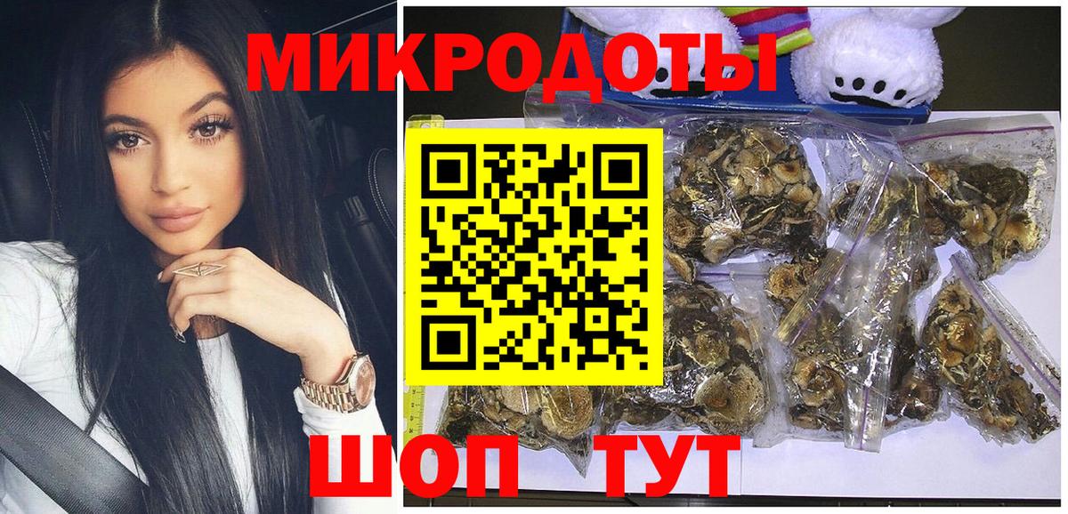 Галлюциногенные грибы Psilocybe Нижнекамск