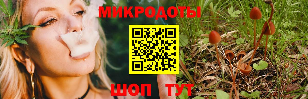 Галлюциногенные грибы прущие грибы  Вход с VPN  Нижнекамск 